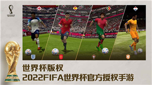 FIFA足球世界