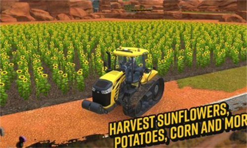 FarmingSimulator18截图4