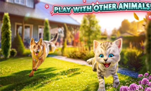 catsimulator2截图1