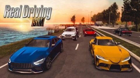 realdrivingsim截图2