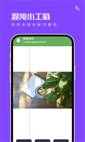 混沌小工菊app截图3