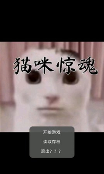 猫猫惊魂游戏截图1