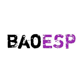 baoESP免卡密2.16