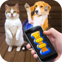 猫猫狗狗翻译器app手机版