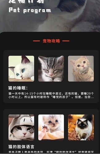 喵喵之家app