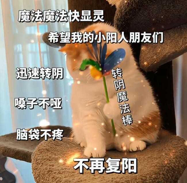 抖音转阴小猫梗的意思介绍