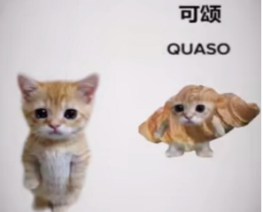 网络用语Quaso梗的意思介绍