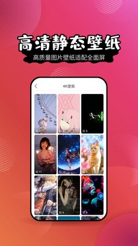 手机壁纸精灵截图3