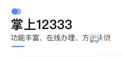 掌上12333怎么查询社保缴费记录