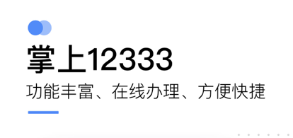 掌上12333怎么查询社保缴费记录