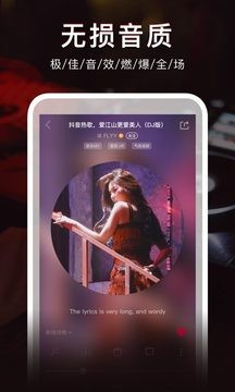 DJ秀截图3