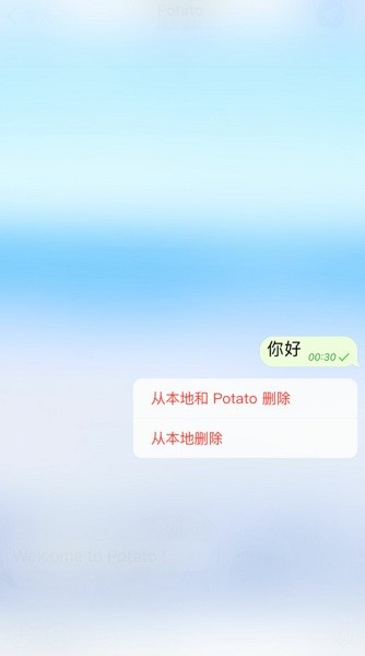 Potato土豆聊天截图3