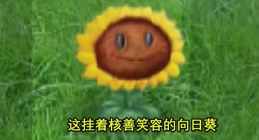 植物大战僵尸现实版