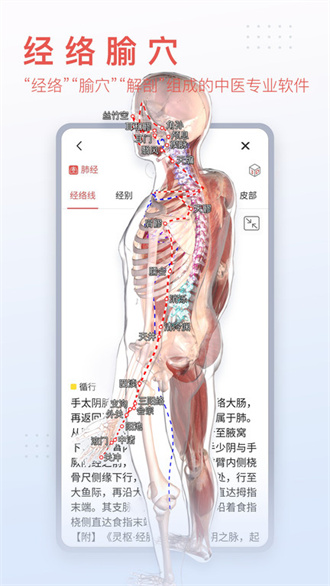 3dbody人体解剖学截图1