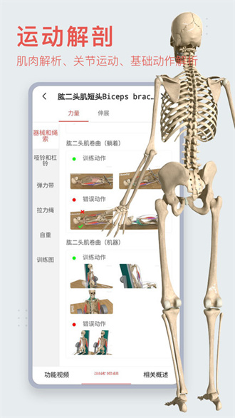 3dbody人体解剖学截图2