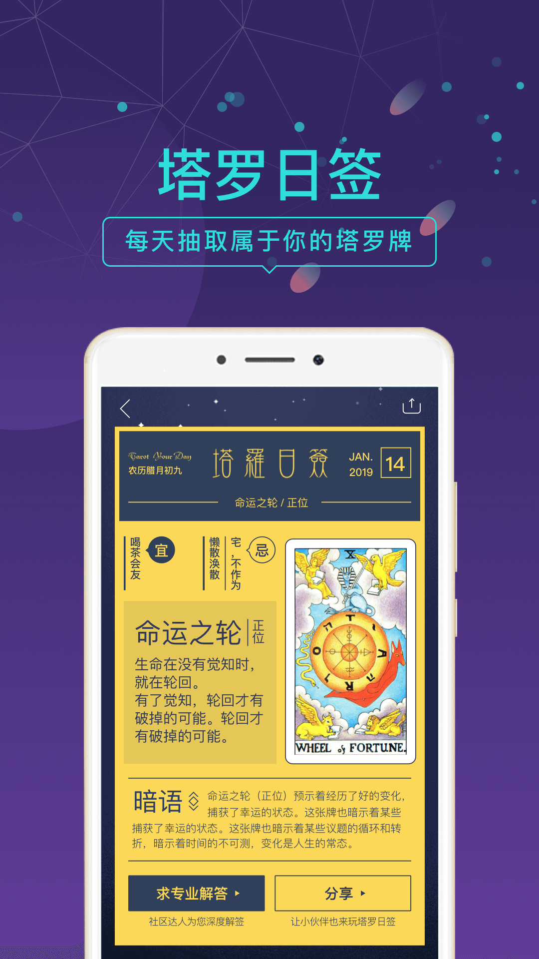 问问塔罗app