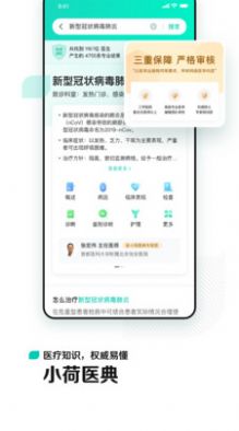 小荷app正版免费版