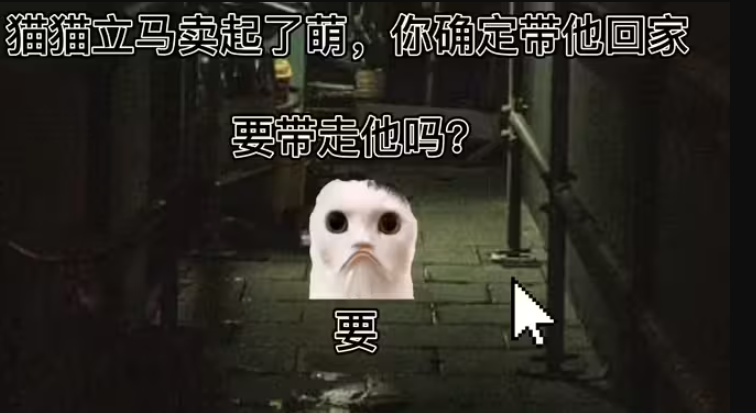 猫猫惊魂4截图2