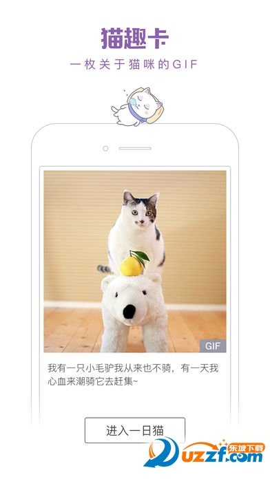 一日猫app