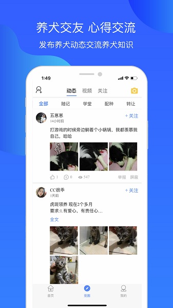 犬卫士截图3