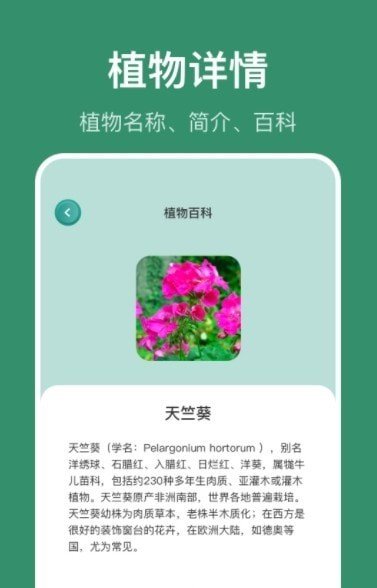 花仙识花草APP官方版