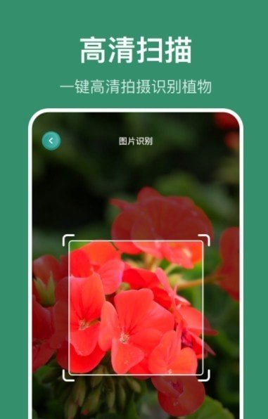 花仙识花草APP官方版