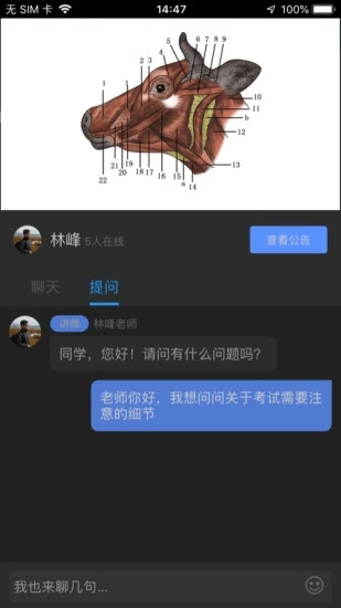 兽课网客户端截图