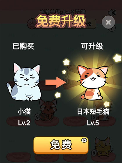 我的小猫截图