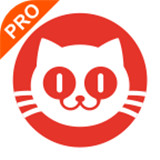 猫眼专业版app