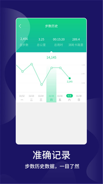 计步大师截图