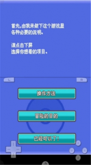 口袋妖怪魂银截图