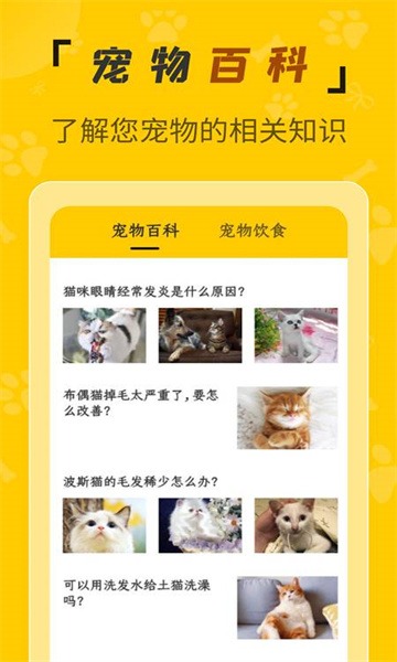 人猫翻译机截图