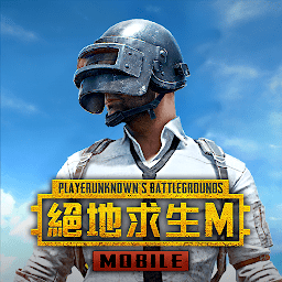 地铁逃生国际服pubg