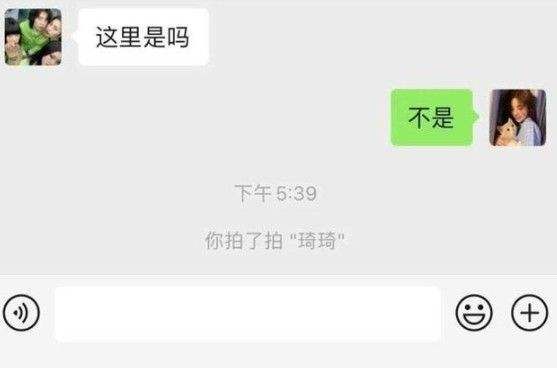 微信电脑怎么拍一拍？PC版拍一拍操作教程[多图]