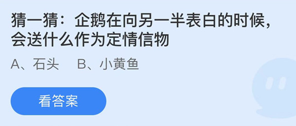 蚂蚁庄园：企鹅在向另一半表白的时候会送什么作为定情信物