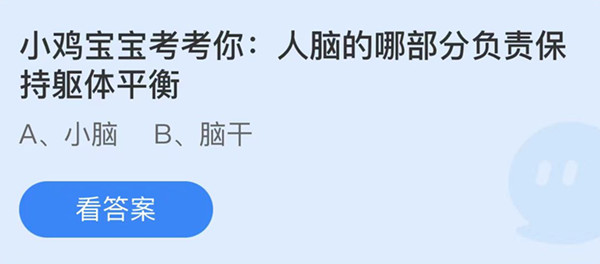 蚂蚁庄园：人脑的哪部分负责保持躯体平衡