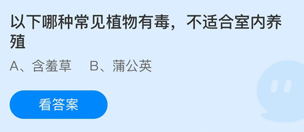 蚂蚁庄园：以下哪种常见植物有毒不适合室内养殖