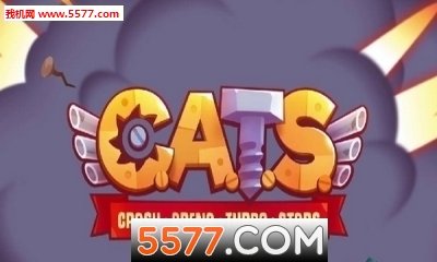 CATS SOUP