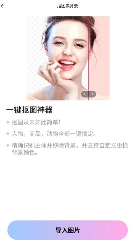P图抠图大师