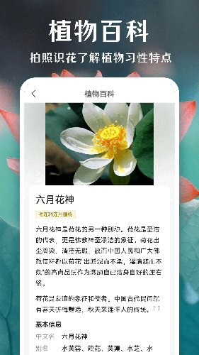 拍照识花截图1