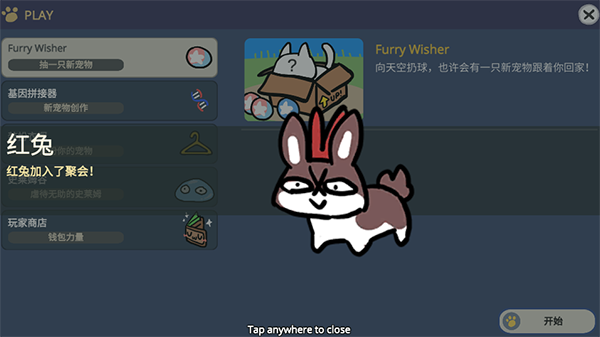 FurryWisher游戏