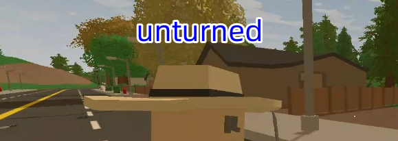 unturned