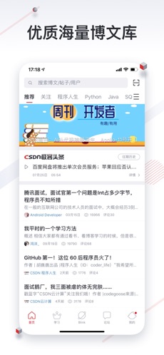 CSDN截图3