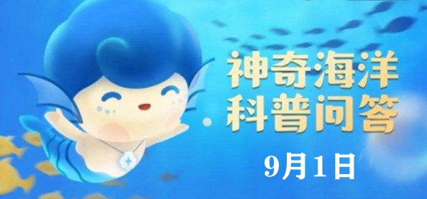 神奇海洋今日答案9.1：独角鲸的神奇实角其实是它的