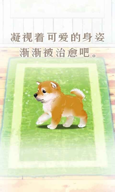 养育柴犬的治愈游戏预约截图