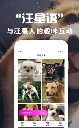 狗语翻译交流器截图