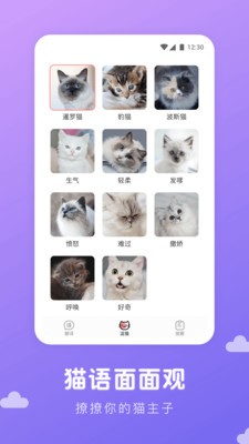 猫语翻译君截图