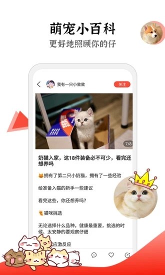 猫猫社截图