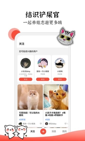 猫猫社截图