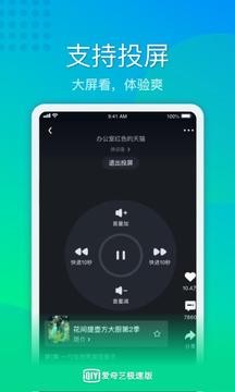 爱奇艺极速版截图